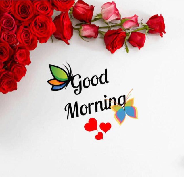 Beautiful Good Morning Pictures 125 E1594016499696