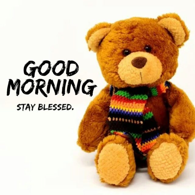 Cute Good Morning Teddy Bear Images 1024x1024