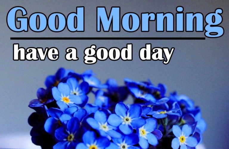 60+ Good Morning Blue Flowers Images & Wishes Good Morning Wishes