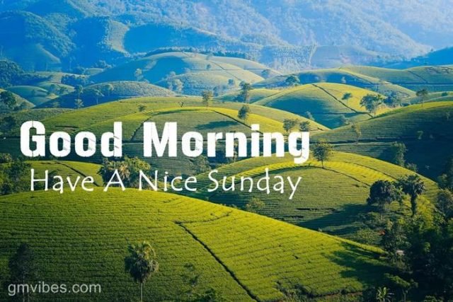 Good Morning Hills Images 4