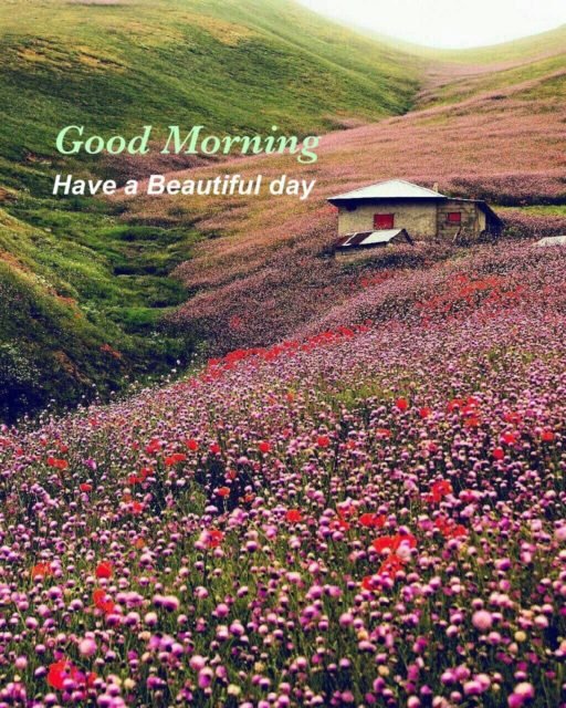 Good Morning Hills Images 5