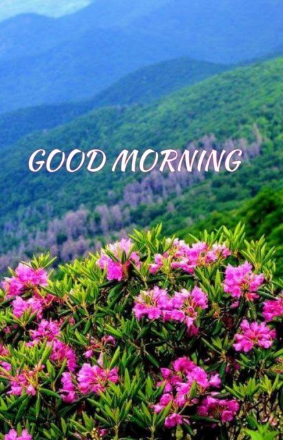 Good Morning Hills Images 8