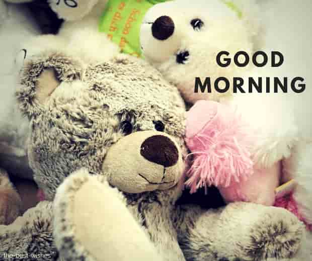 Good Morning Images For Teddy Bear