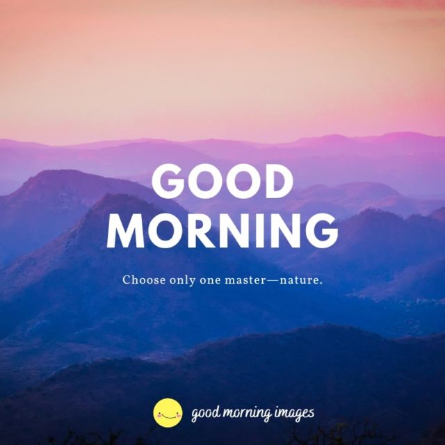 Good Morning Images Nature 10 1