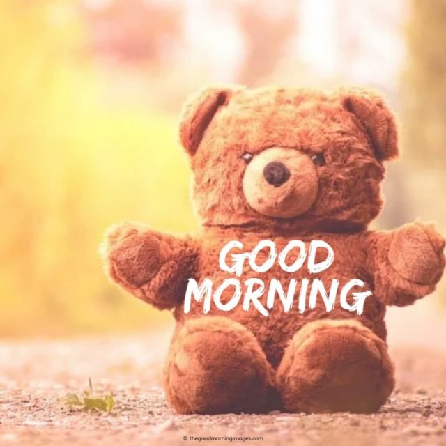 Good Morning Images With Teddy Bear 2 1024x1024