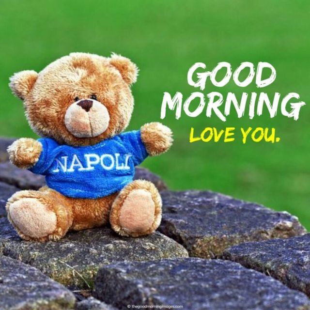 Good Morning Loe You Teddy Bear Images 1024x1024
