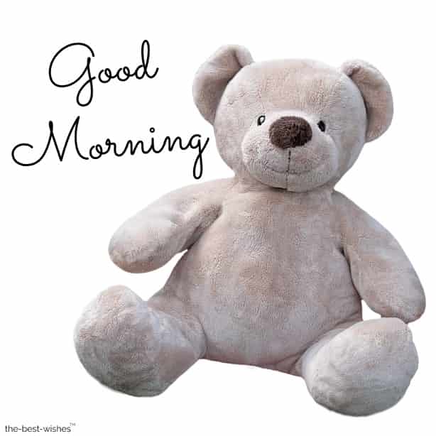 Good Morning Sunday Teddy Bear Images