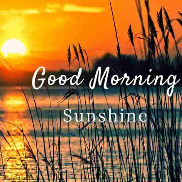 Good Morning Sunrise Nature