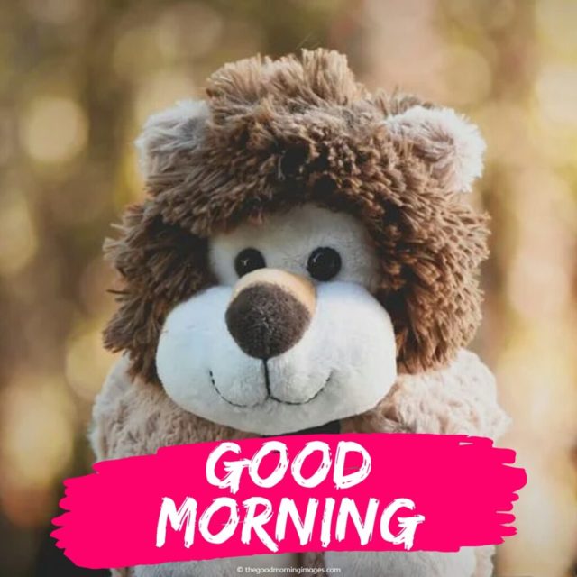 Good Morning Teddy Bear Images 1 1 1024x1024