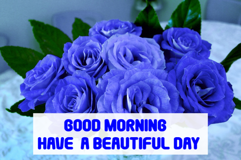 60+ Good Morning Blue Flowers Images & Wishes Good Morning Wishes
