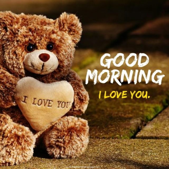 I Love You Teddy 1024x1024