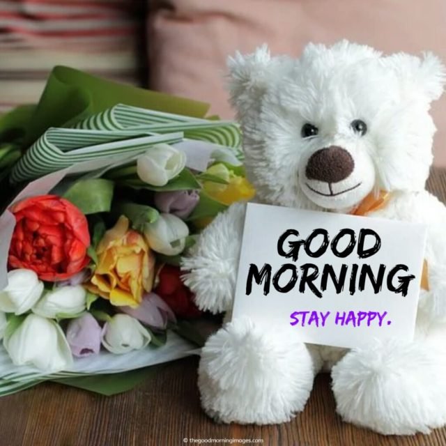 Stay Happy Teddy Bear Img 1024x1024