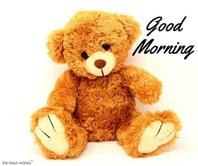 Taddy Bear Image