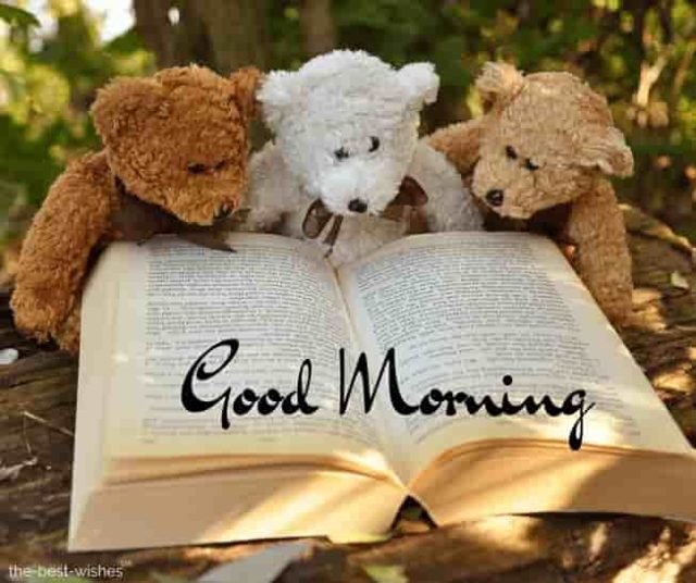 Teddy Bears Reading Book
