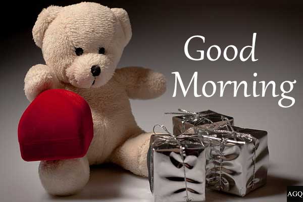Teddy Good Morning Images Hd Free Download