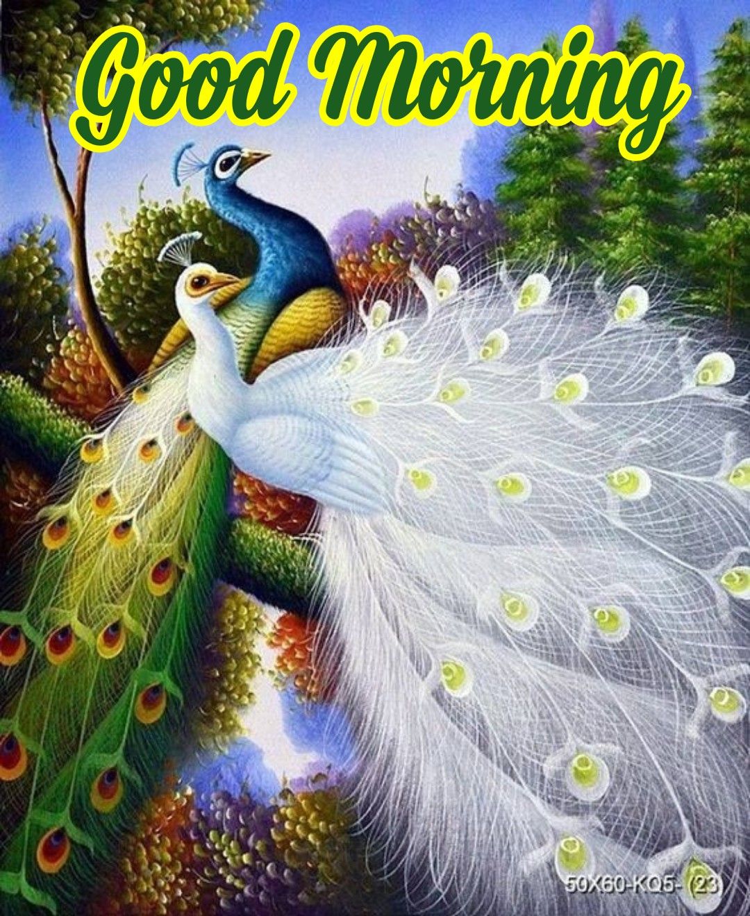 30+ Good morning Peacock Images & Wishes - Good Morning Wishes