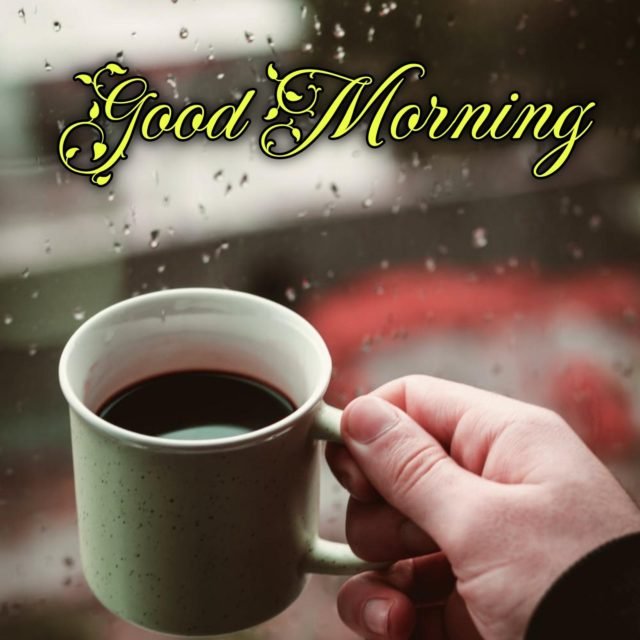 100+ Best Good morning wishes and images for wife - Good Morning Wishes 100+ Best Good Morning Wishes And Images For Wife - Good Morning Wishes