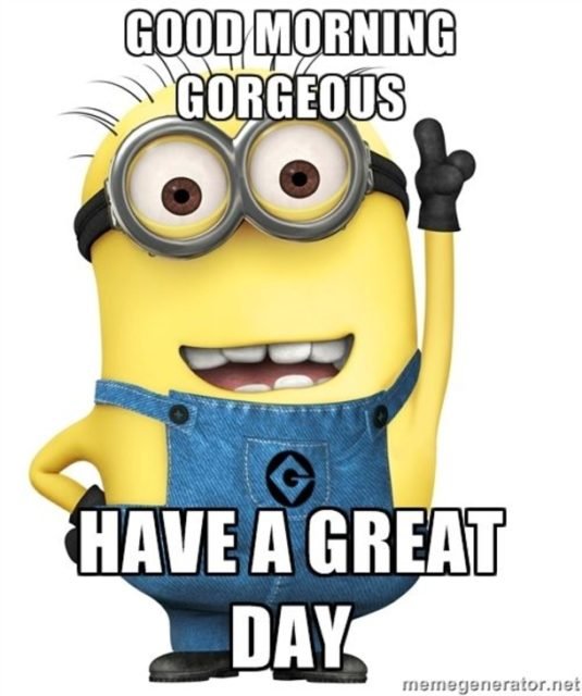 20 Awesome Good Morning Minion Quotes That You Will Love 47397 2