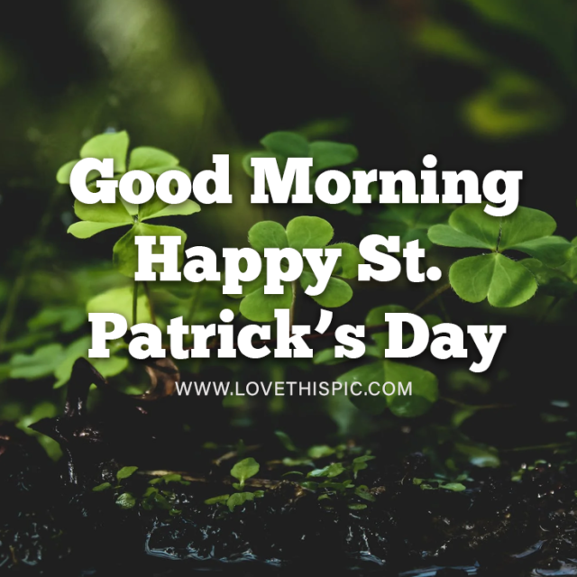 411614 Good Morning Happy St. Patrick S Day