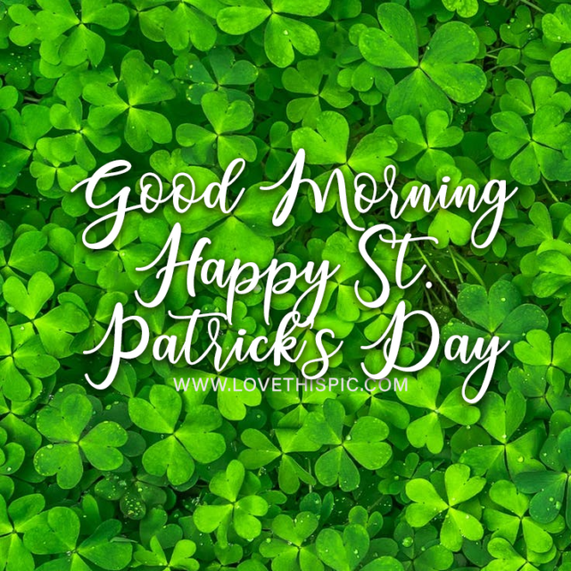 411616 Clover Leafs Good Morning Happy St. Patrick S Day