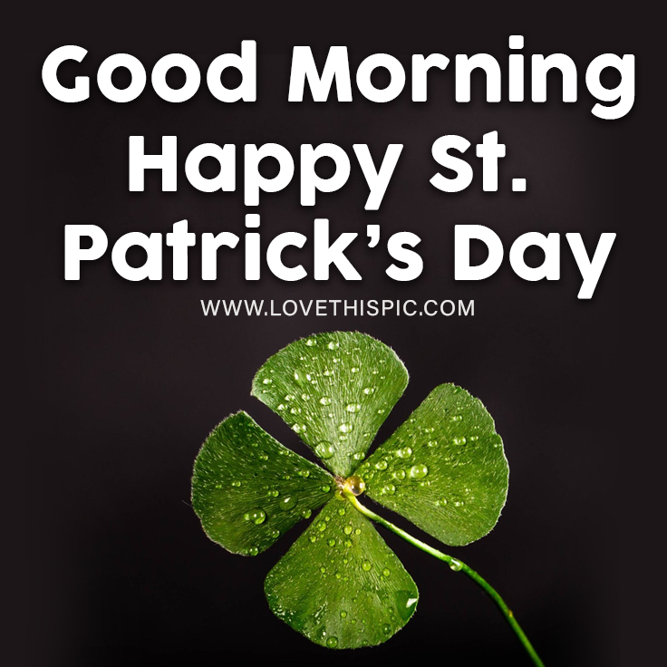 411617 Wet Clover Good Morning Happy St. Patrick S Day