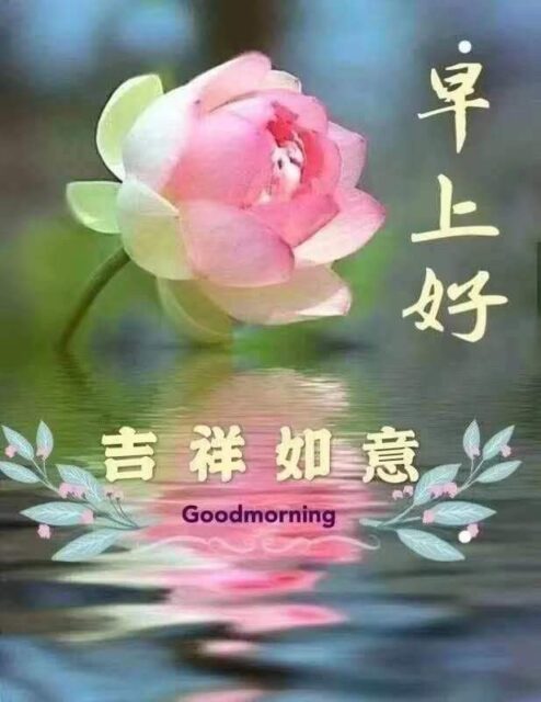 Good Morning Wishes In Chinese1
