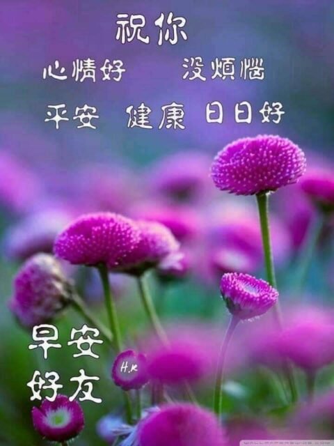 Good Morning Wishes In Chinese5