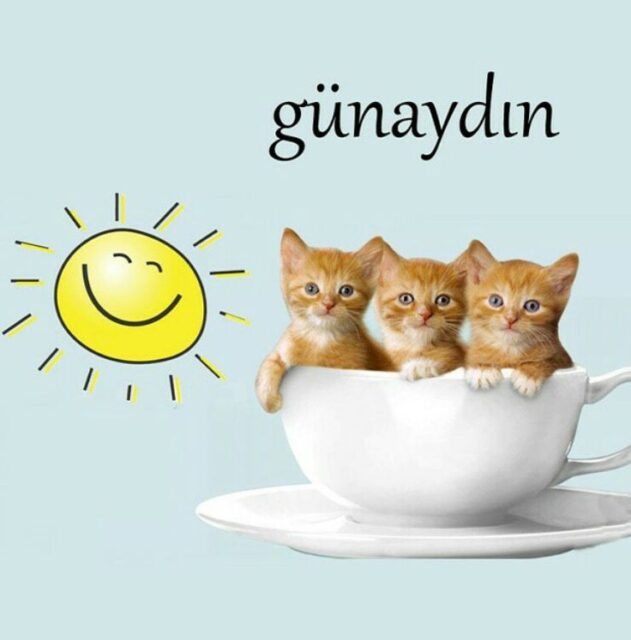 Good Morning In Turkish9