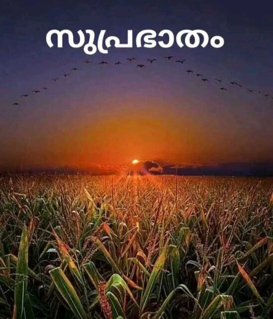 Good Morning Wishes In Malayalam 5