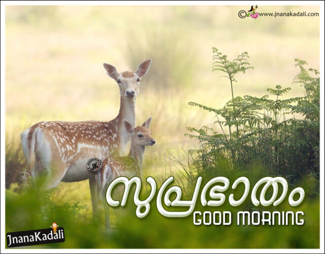 Good Morning Wishes In Malayalam 8
