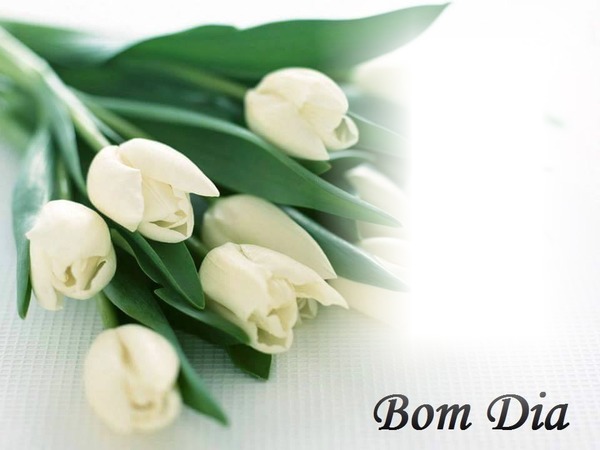  Bom Dia Wishes Good Morning Wishes In Portuguese 9