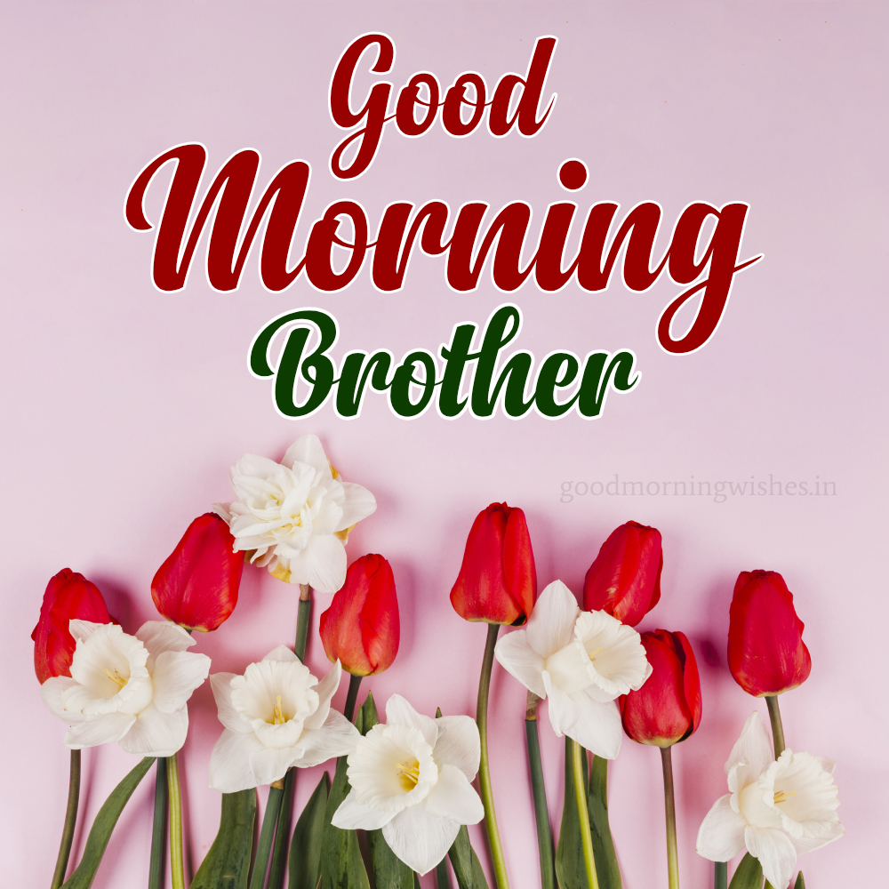 Best Good Morning Blessing And Images For Brother