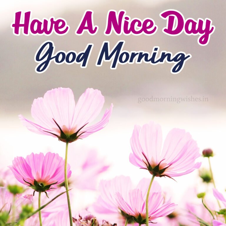 100+ Good Morning Have A Nice Day Wishes, Images & Status - Good ...