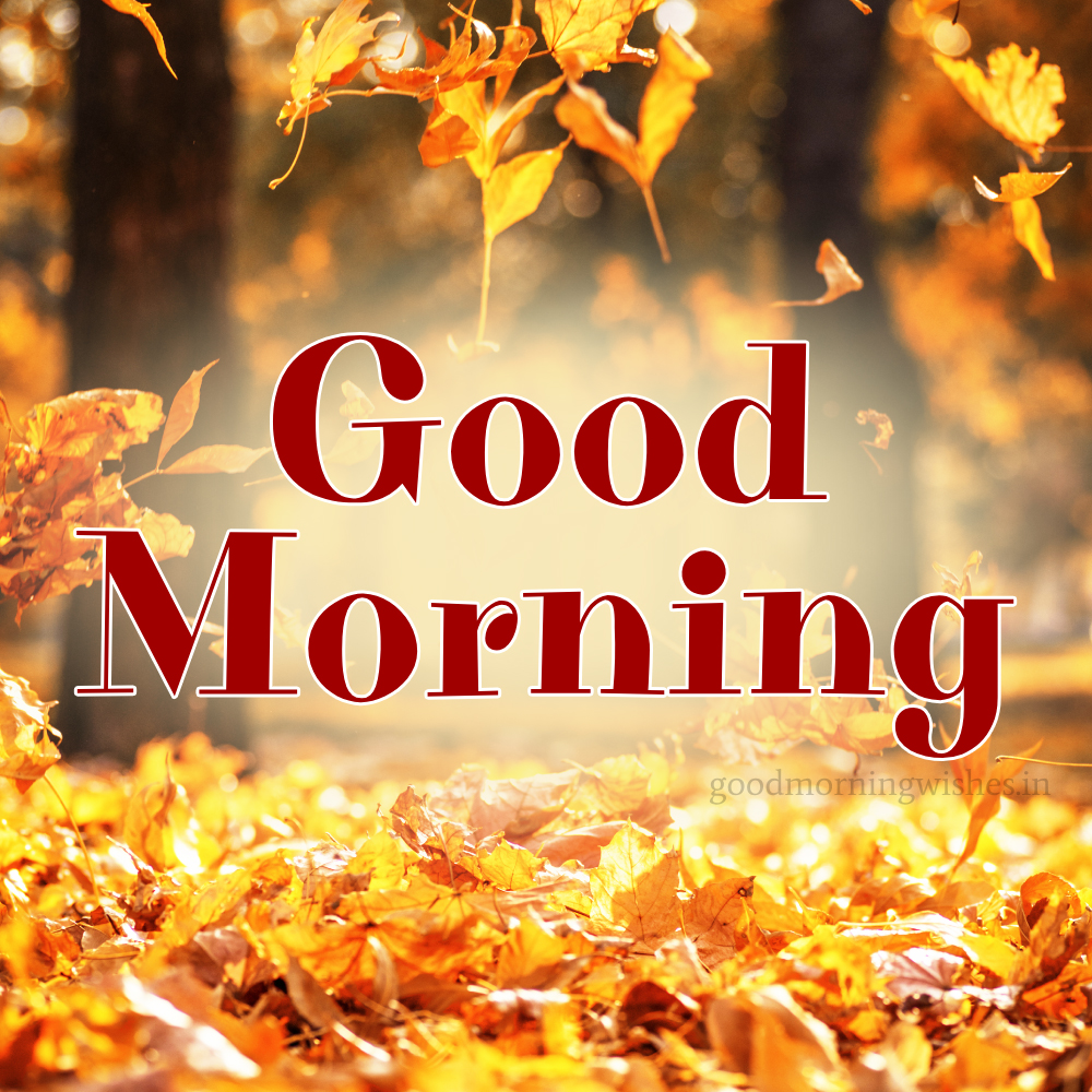 Good Morning Fall Wishes, Gifs and Images