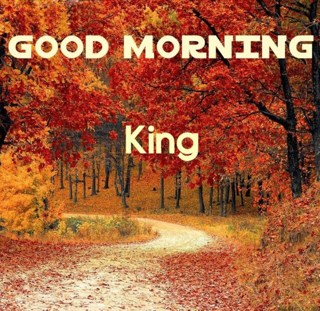 good morning my king images