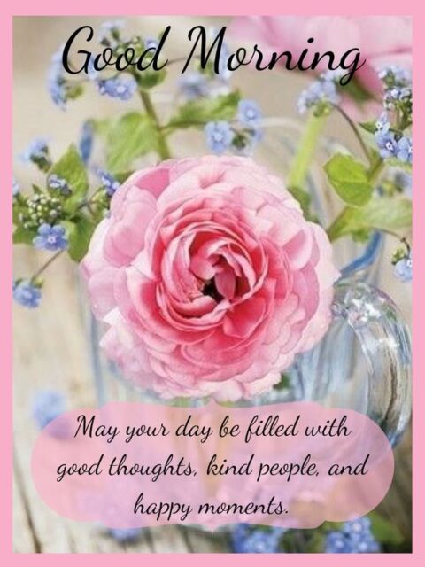 good morning wishes with pink flowers 