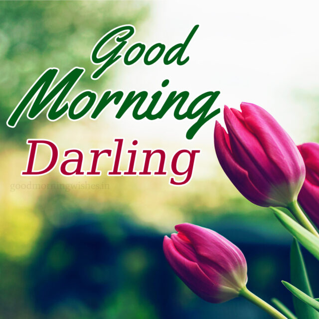 Good Morning Darling Images