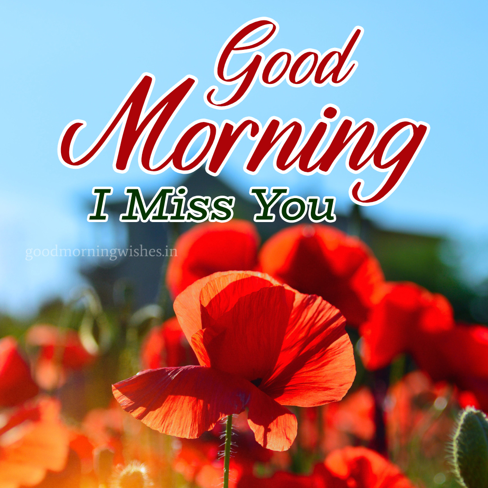 Good Morning I Miss You Wishes And Images
