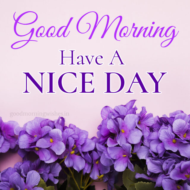 Good Morning Purple Flowers Images