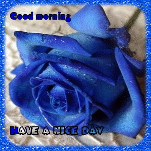 Good Morning Blue Rose GIFs