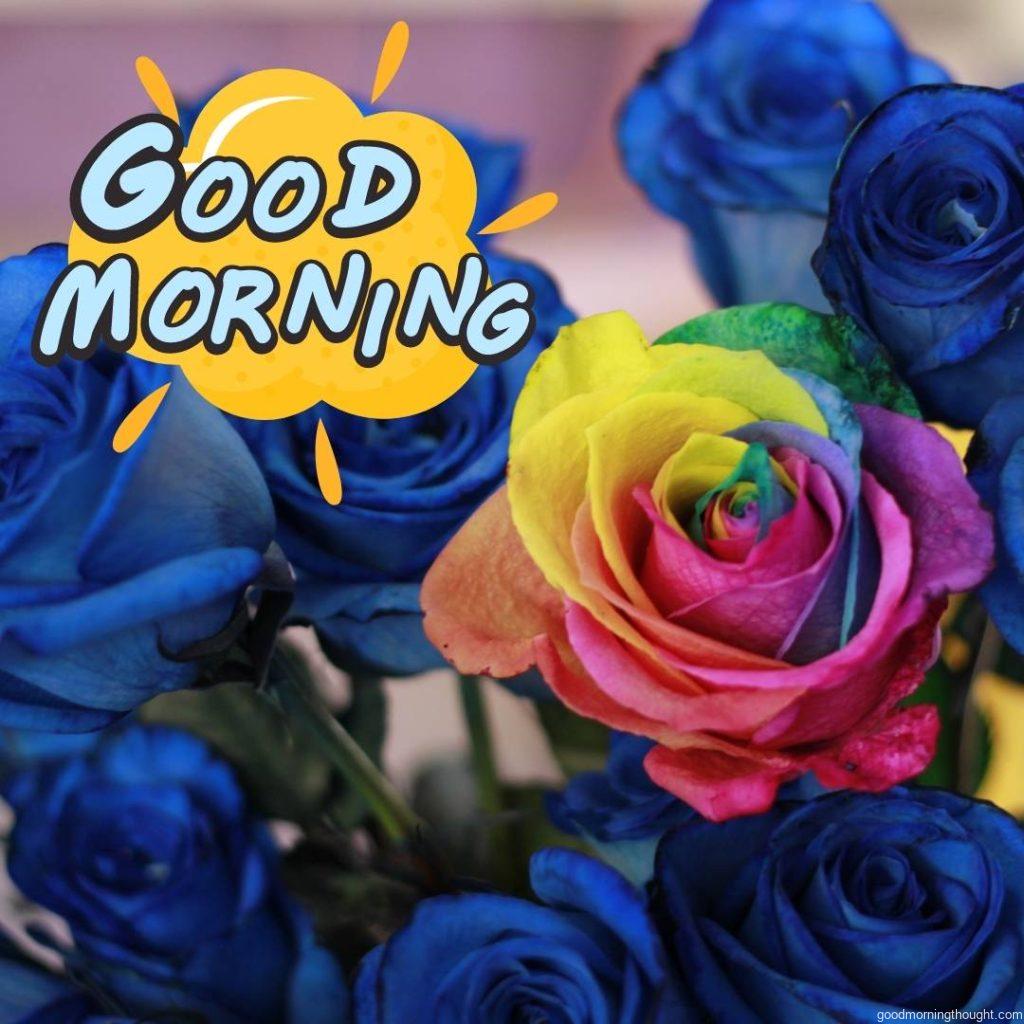 Good Morning Blue Rose Images and GIFs